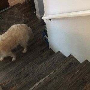 Meet your Posher, Yvonne